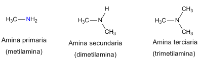Nomenclatura de Aminas | Química Orgánica